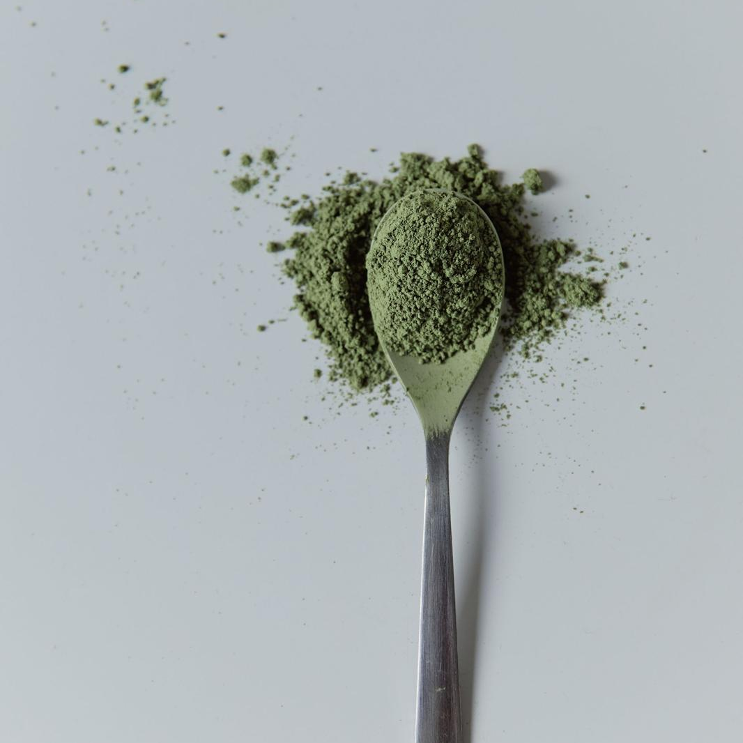 Moringa Pure powder in a spoon