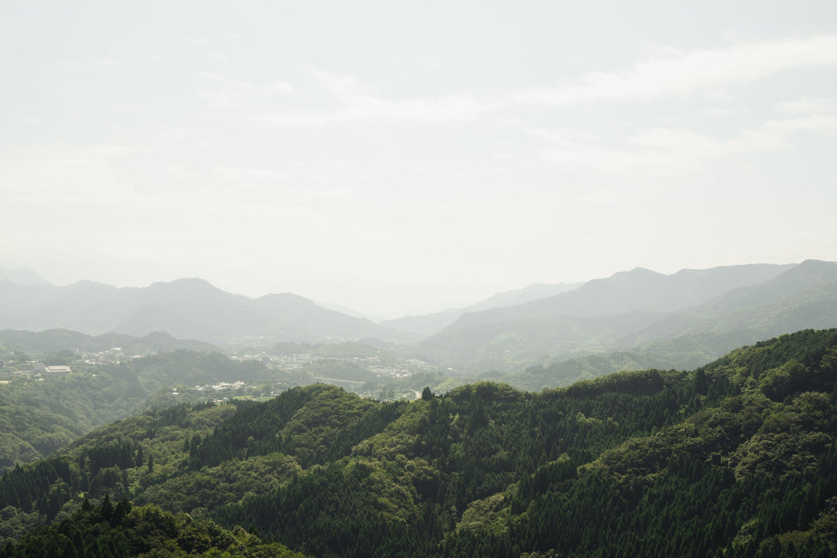 Hazy mountain landscape with greenery